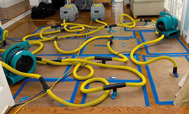 Professional Storm Water Damage Restoration technician working in Glenview, KY